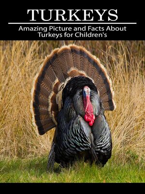 cover image of Turkeys